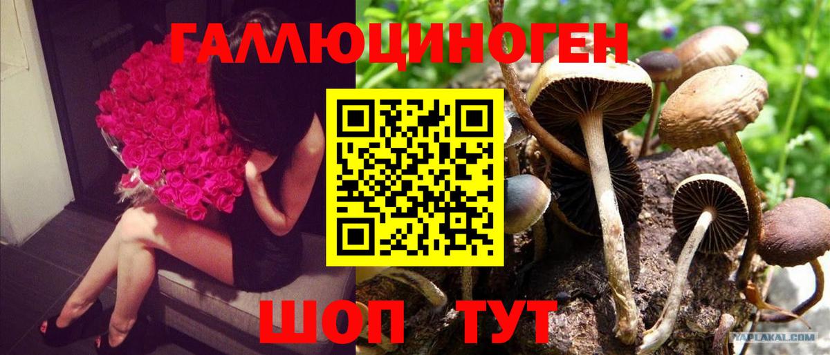 Галлюциногенные грибы ЛСД Ивантеевка