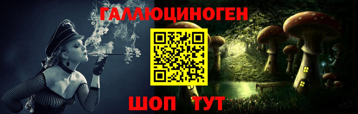 Псилоцибиновые грибы Cubensis  Вход с VPN  Ивантеевка 